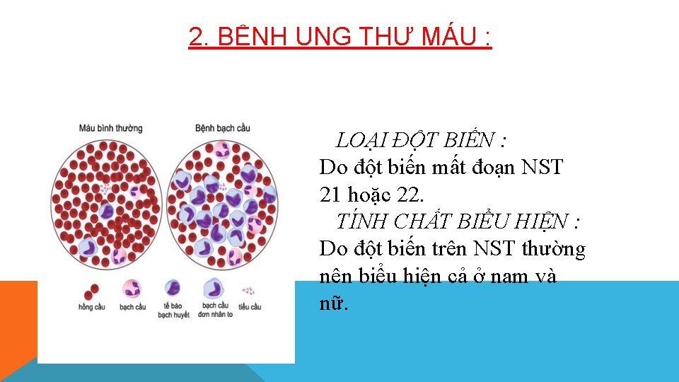 2. BỆNH UNG THƯ MÁU : LOẠI ĐỘT BIẾN : Do đột biến mất