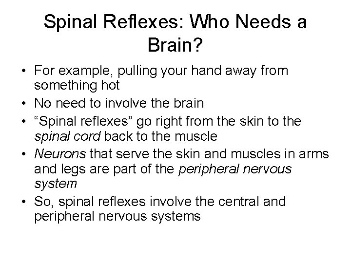 Spinal Reflexes: Who Needs a Brain? • For example, pulling your hand away from