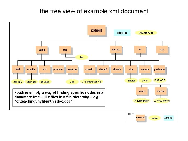 the tree view of example xml document patient name nhs-no 7503557856 tel address title