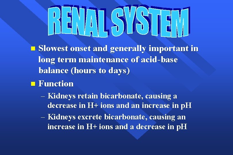 Slowest onset and generally important in long term maintenance of acid-base balance (hours to