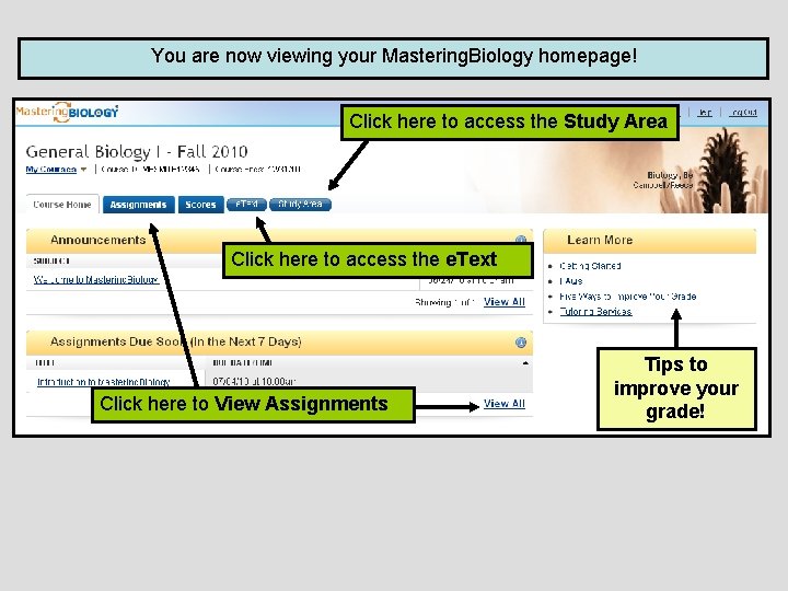 You are now viewing your Mastering. Biology homepage! Click here to access the Study