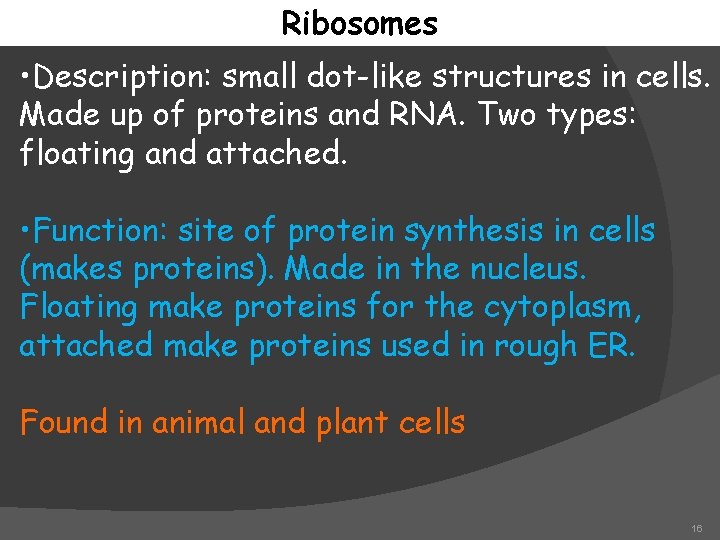 Ribosomes • Description: small dot-like structures in cells. Made up of proteins and RNA.