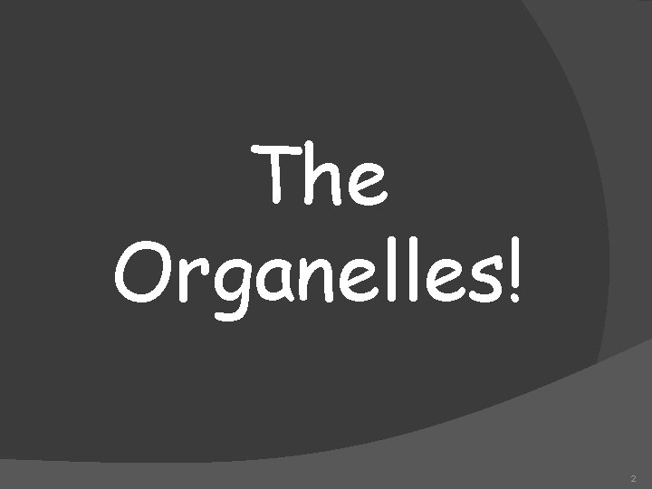 The Organelles! 2 