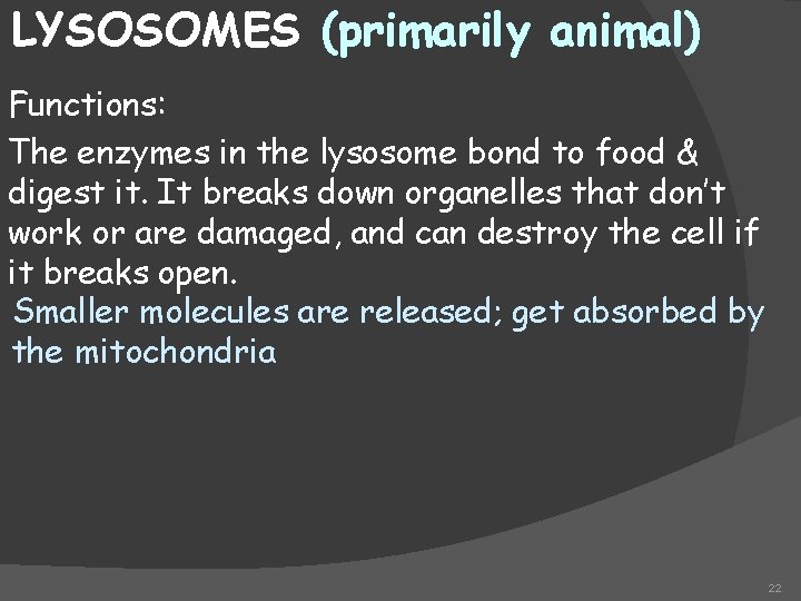 LYSOSOMES (primarily animal) Functions: The enzymes in the lysosome bond to food & digest
