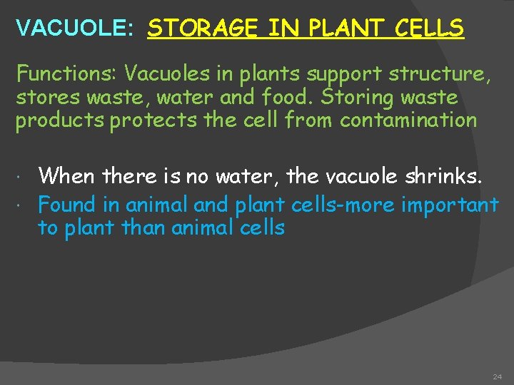 VACUOLE: STORAGE IN PLANT CELLS Functions: Vacuoles in plants support structure, stores waste, water