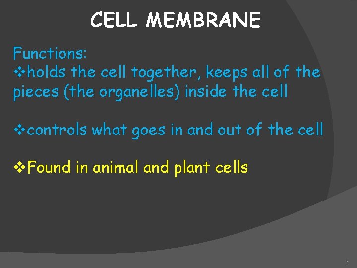 CELL MEMBRANE Functions: vholds the cell together, keeps all of the pieces (the organelles)