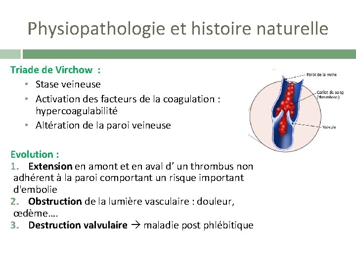 Physiopathologie et histoire naturelle Triade de Virchow : • Stase veineuse • Activation des