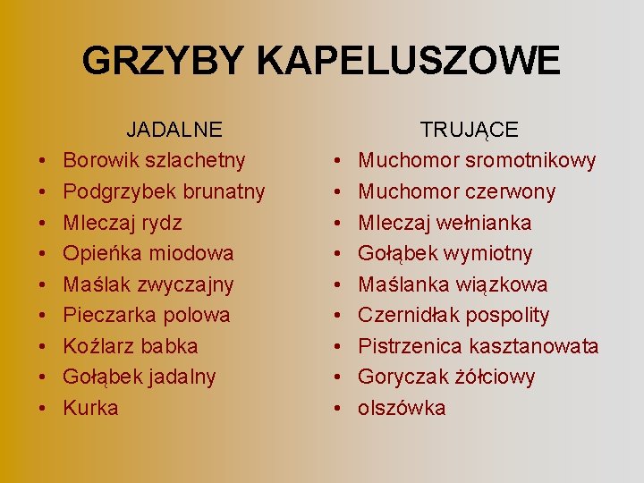 GRZYBY KAPELUSZOWE • • • JADALNE Borowik szlachetny Podgrzybek brunatny Mleczaj rydz Opieńka miodowa
