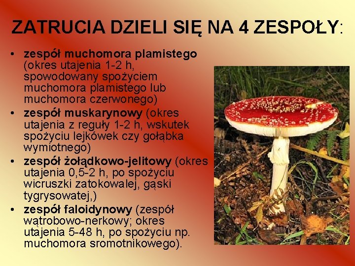 ZATRUCIA DZIELI SIĘ NA 4 ZESPOŁY: • zespół muchomora plamistego (okres utajenia 1 -2