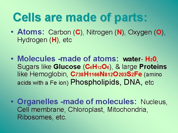 Cells are made of parts: • Atoms: Carbon (C), Nitrogen (N), Oxygen (O), Hydrogen