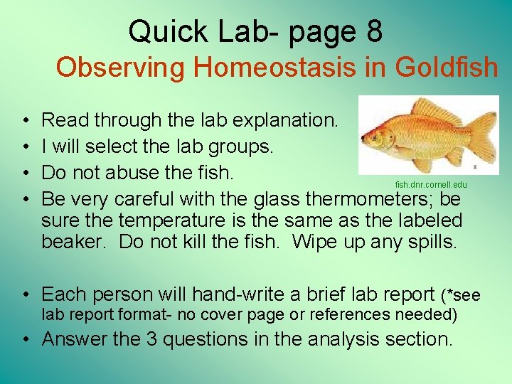 Quick Lab- page 8 Observing Homeostasis in Goldfish • • Read through the lab