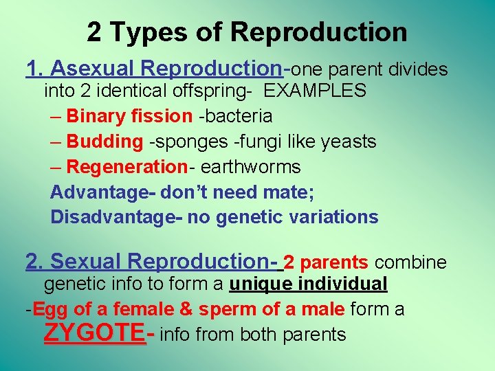 2 Types of Reproduction 1. Asexual Reproduction-one parent divides into 2 identical offspring- EXAMPLES