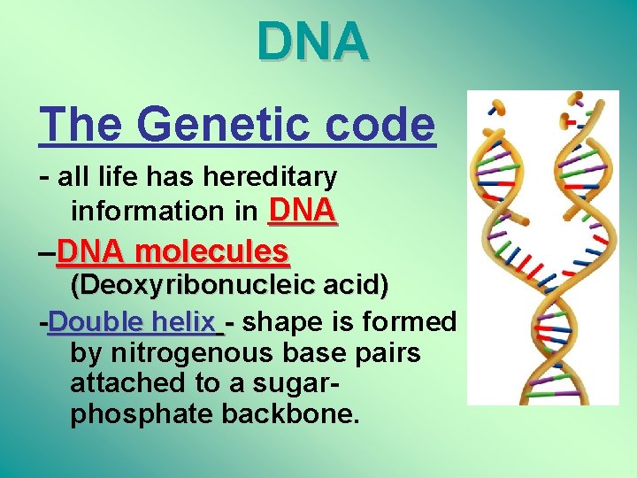 DNA The Genetic code - all life has hereditary information in DNA –DNA molecules