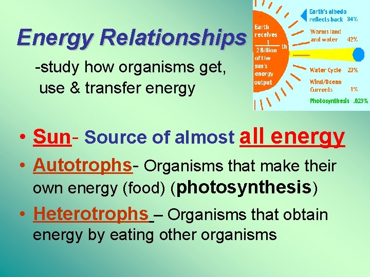 Energy Relationships -study how organisms get, use & transfer energy • Sun- Source of