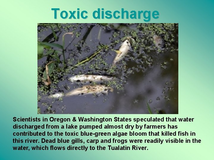 Toxic discharge Scientists in Oregon & Washington States speculated that water discharged from a