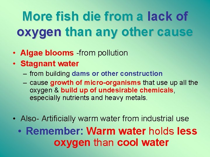 More fish die from a lack of oxygen than any other cause • Algae