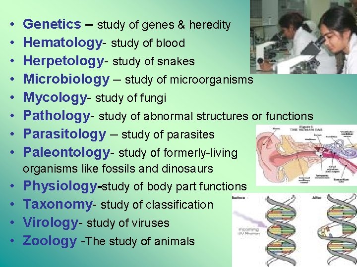  • • Genetics – study of genes & heredity Hematology- study of blood