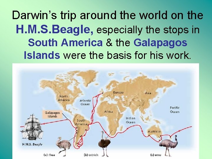 Darwin’s trip around the world on the H. M. S. Beagle, especially the stops