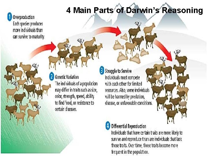 Chapter 154 Main Parts of Darwin’s Reasoning Natural Selection 