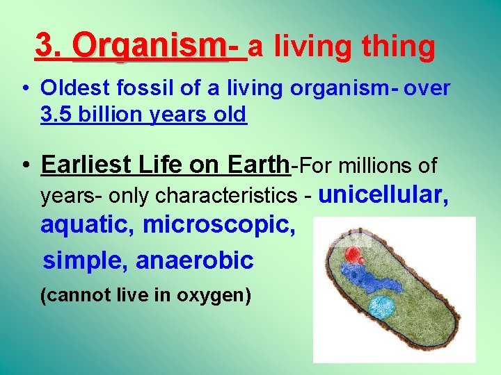 3. Organism a living thing • Oldest fossil of a living organism- over 3.