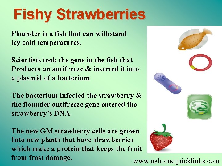 Fishy Strawberries Flounder is a fish that can withstand icy cold temperatures. Scientists took