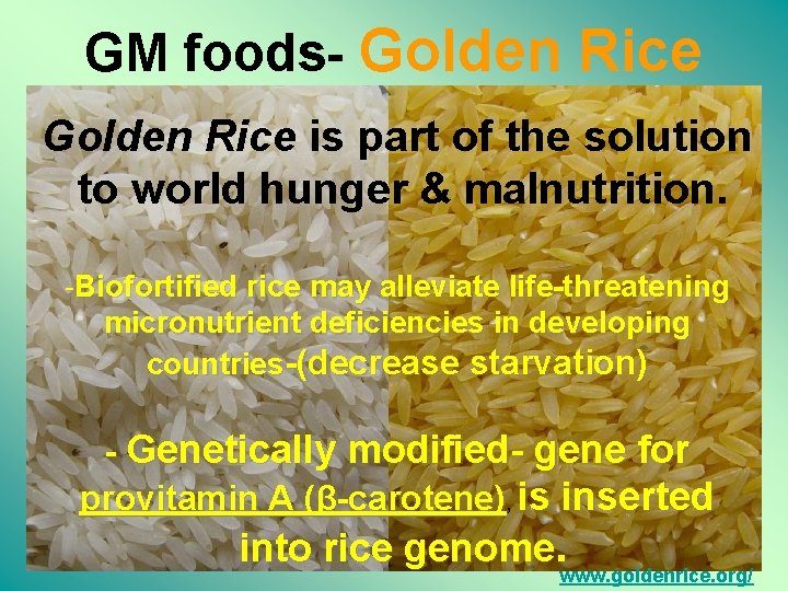 GM foods- Golden Rice is part of the solution to world hunger & malnutrition.