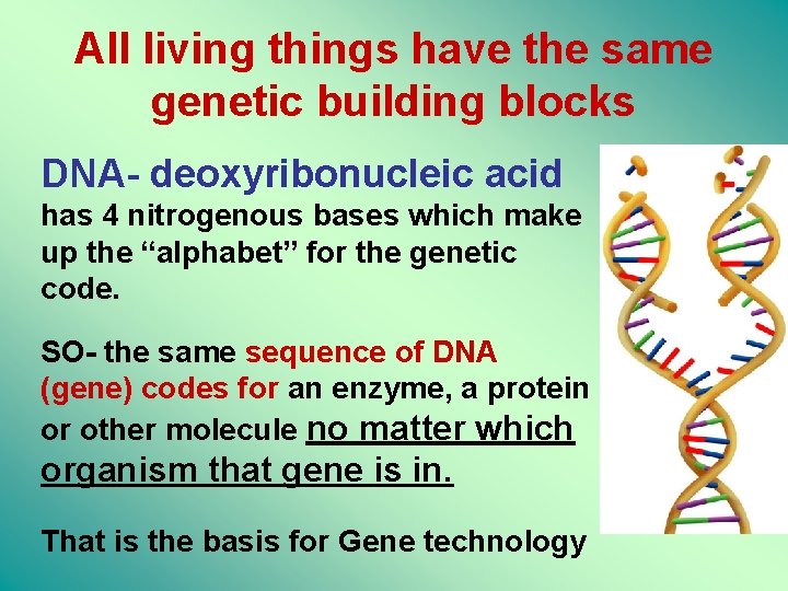 All living things have the same genetic building blocks DNA- deoxyribonucleic acid has 4