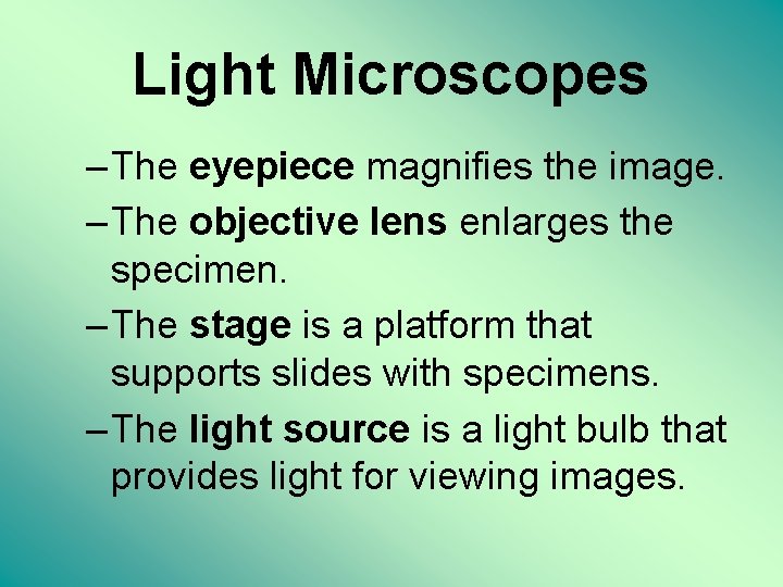 Light Microscopes – The eyepiece magnifies the image. – The objective lens enlarges the