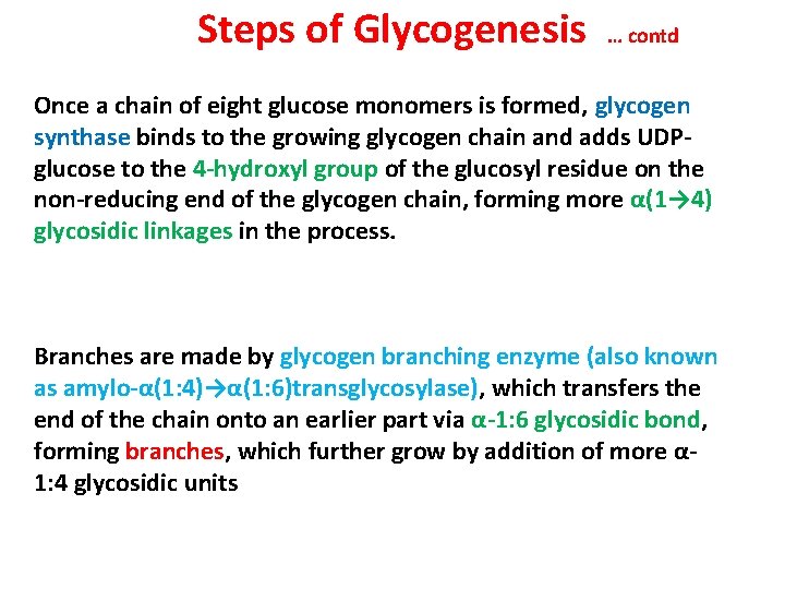 Steps of Glycogenesis … contd Once a chain of eight glucose monomers is formed,
