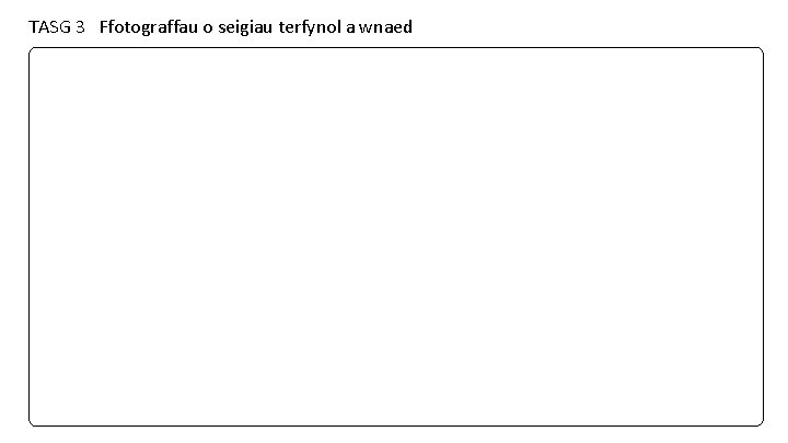 TASG 3 Ffotograffau o seigiau terfynol a wnaed 