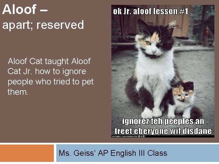 Aloof – apart; reserved Aloof Cat taught Aloof Cat Jr. how to ignore people