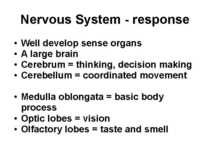 Nervous System - response • • Well develop sense organs A large brain Cerebrum