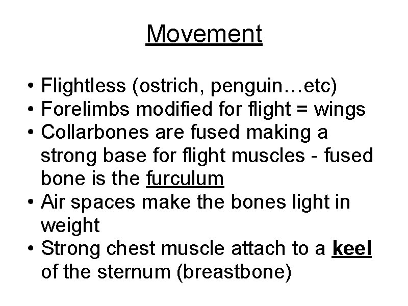 Movement • Flightless (ostrich, penguin…etc) • Forelimbs modified for flight = wings • Collarbones