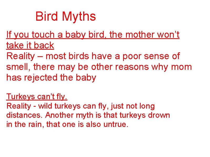 Bird Myths If you touch a baby bird, the mother won’t take it back