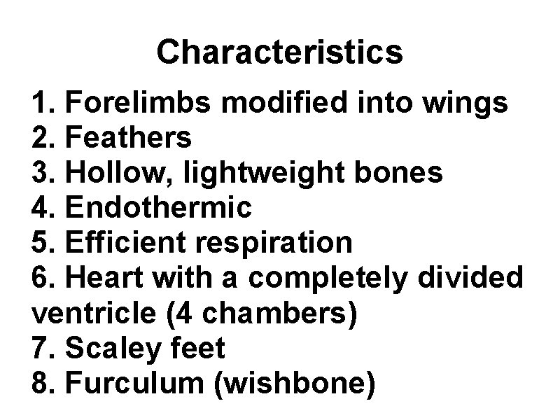 Characteristics 1. Forelimbs modified into wings 2. Feathers 3. Hollow, lightweight bones 4. Endothermic