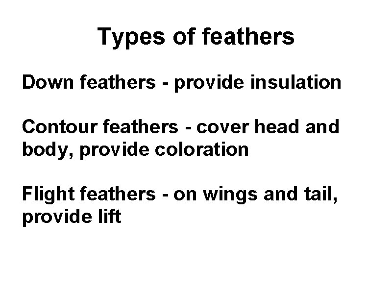Types of feathers Down feathers - provide insulation Contour feathers - cover head and