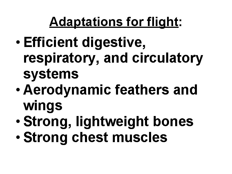 Adaptations for flight: • Efficient digestive, respiratory, and circulatory systems • Aerodynamic feathers and