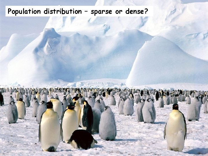Population distribution – sparse or dense? 