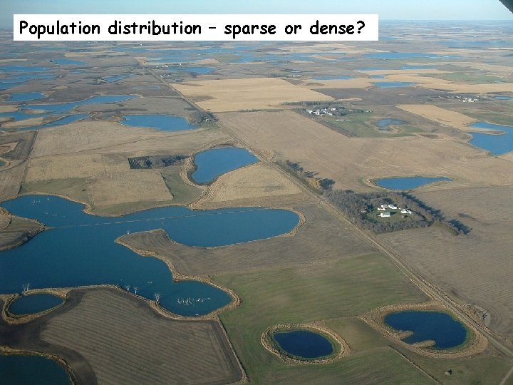 Population distribution – sparse or dense? 