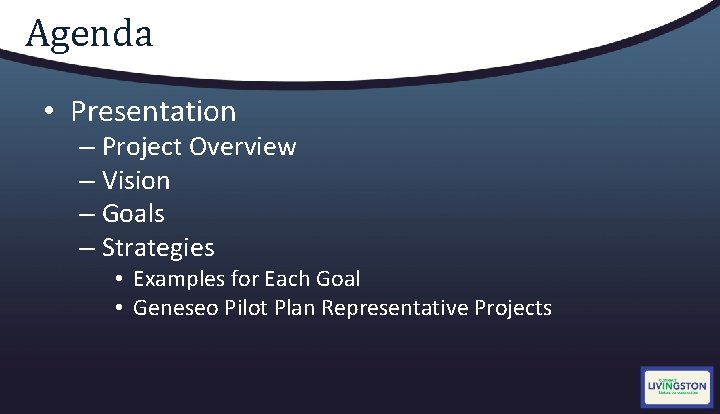 Agenda • Presentation – Project Overview – Vision – Goals – Strategies • Examples