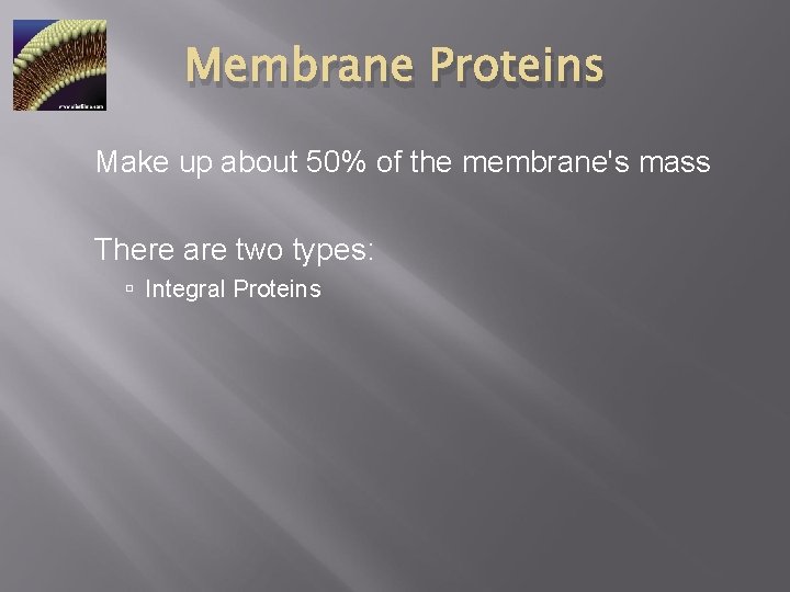 Membrane Proteins Make up about 50% of the membrane's mass There are two types: