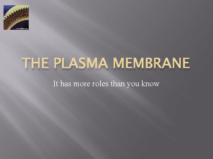 THE PLASMA MEMBRANE It has more roles than you know 