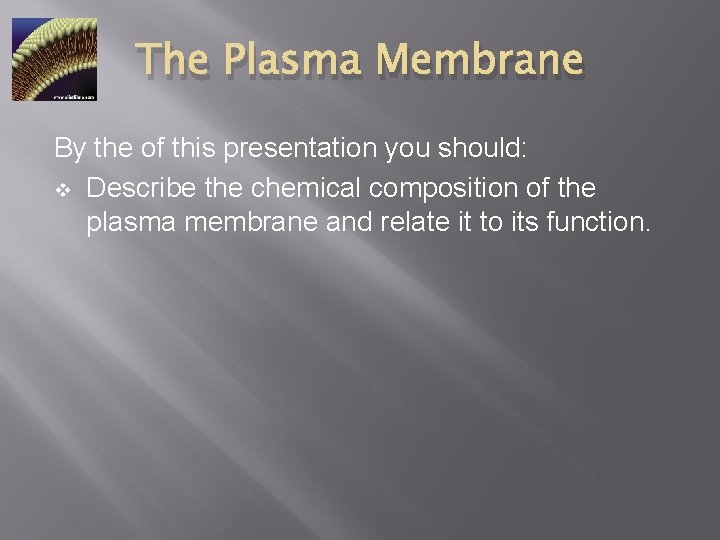The Plasma Membrane By the of this presentation you should: v Describe the chemical