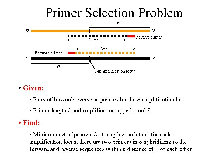 Primer Selection Problem ri 5' L+x Forward primer 3' Reverse primer L+x 3' 5'