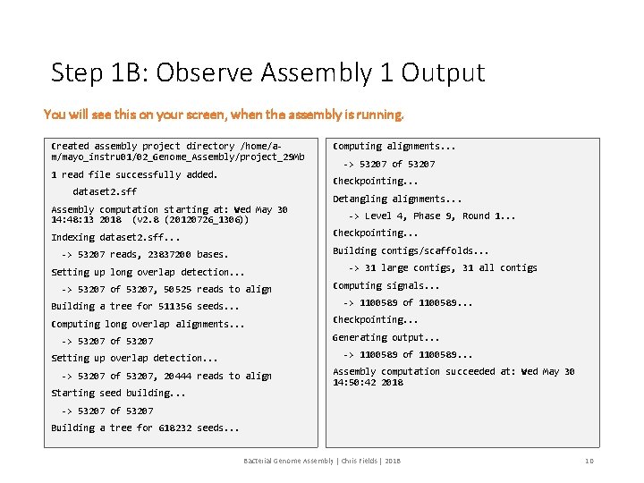 Step 1 B: Observe Assembly 1 Output You will see this on your screen,