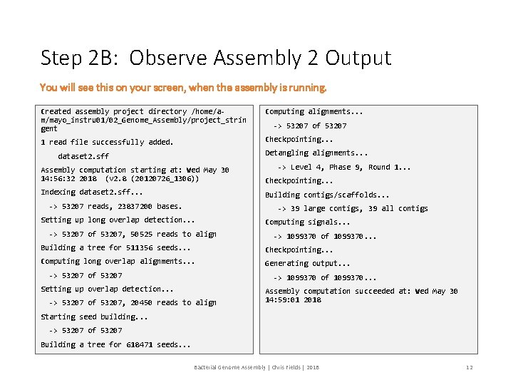 Step 2 B: Observe Assembly 2 Output You will see this on your screen,