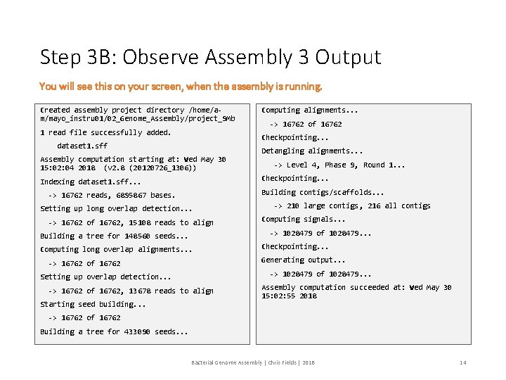Step 3 B: Observe Assembly 3 Output You will see this on your screen,