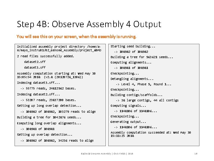 Step 4 B: Observe Assembly 4 Output You will see this on your screen,
