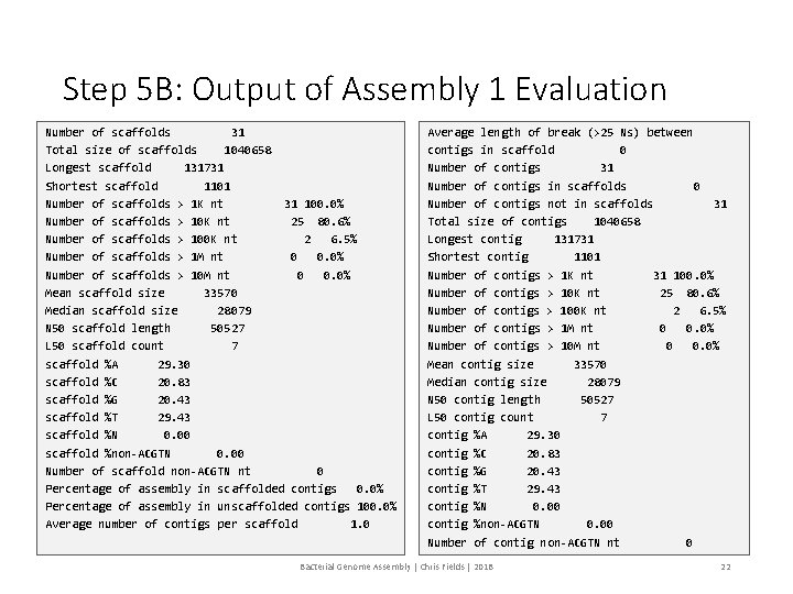 Step 5 B: Output of Assembly 1 Evaluation Number of scaffolds 31 Total size