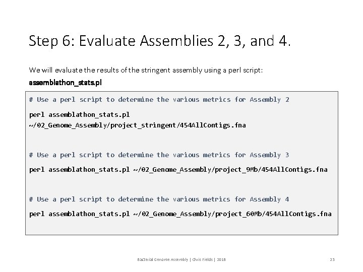 Step 6: Evaluate Assemblies 2, 3, and 4. We will evaluate the results of